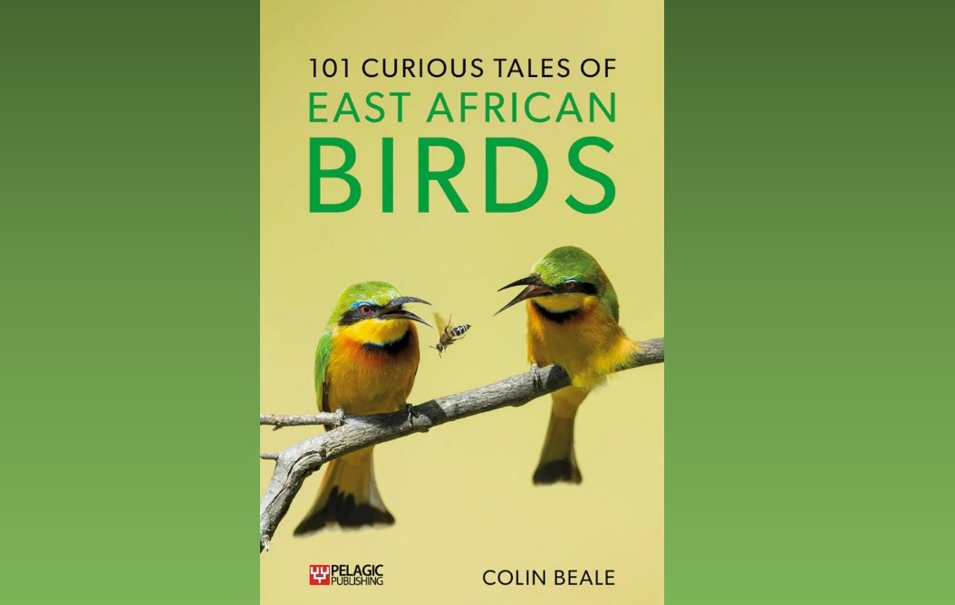101 Curious Tales of East African Birds, image of two colourful birds with beaks open to catch an insect